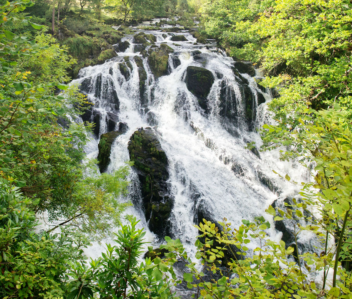 Panoramas of Waterfalls Panoramas of Waterfalls